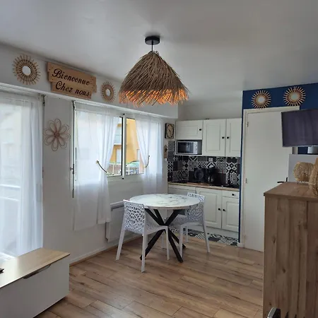 T2 Proche Plage, Balcon Est, Animaux Acceptes - Fr-1-482-148 *